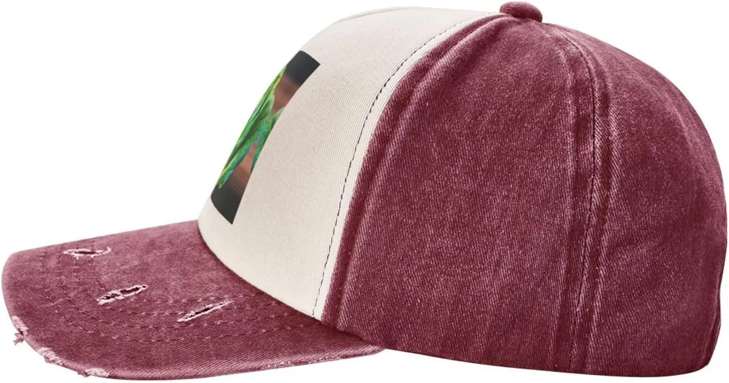 Bright Cabbage Unisex Adjustable and Breathable Sporty Denim Hat,Stylish Baseball Cap for Outdoor Activities