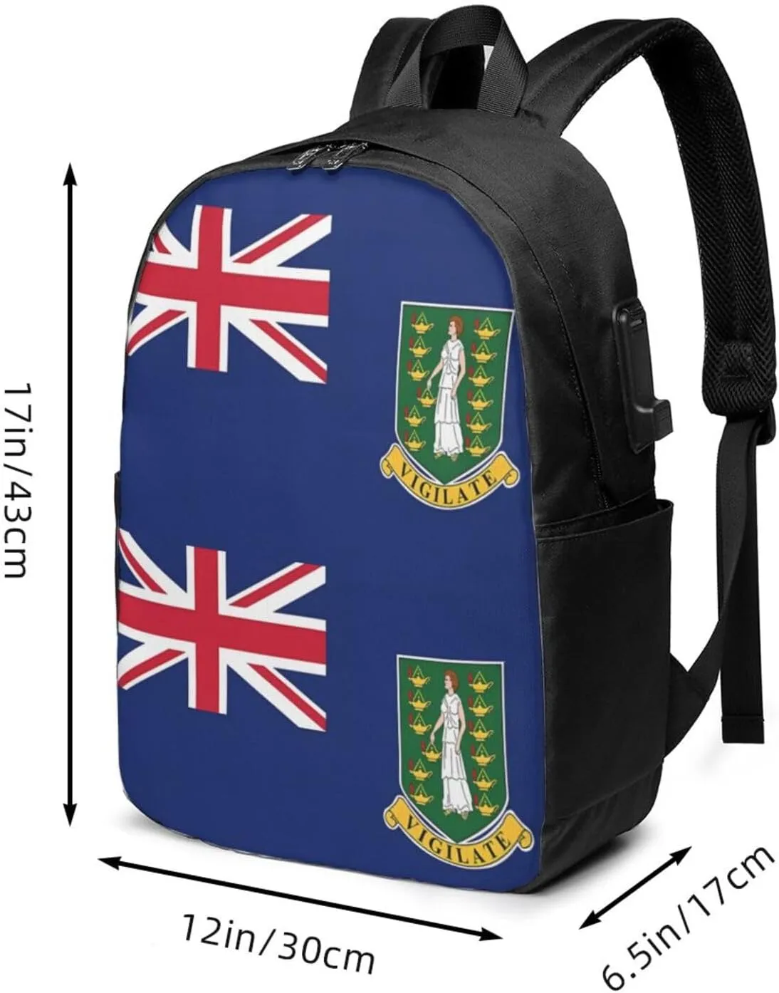British Virgin Islands Flag Laptop Backpacks Travel Backpack Casual Business Daypack Sport Rucksack Computer Bag Fits up to 17 Inch Notebook with USB Port