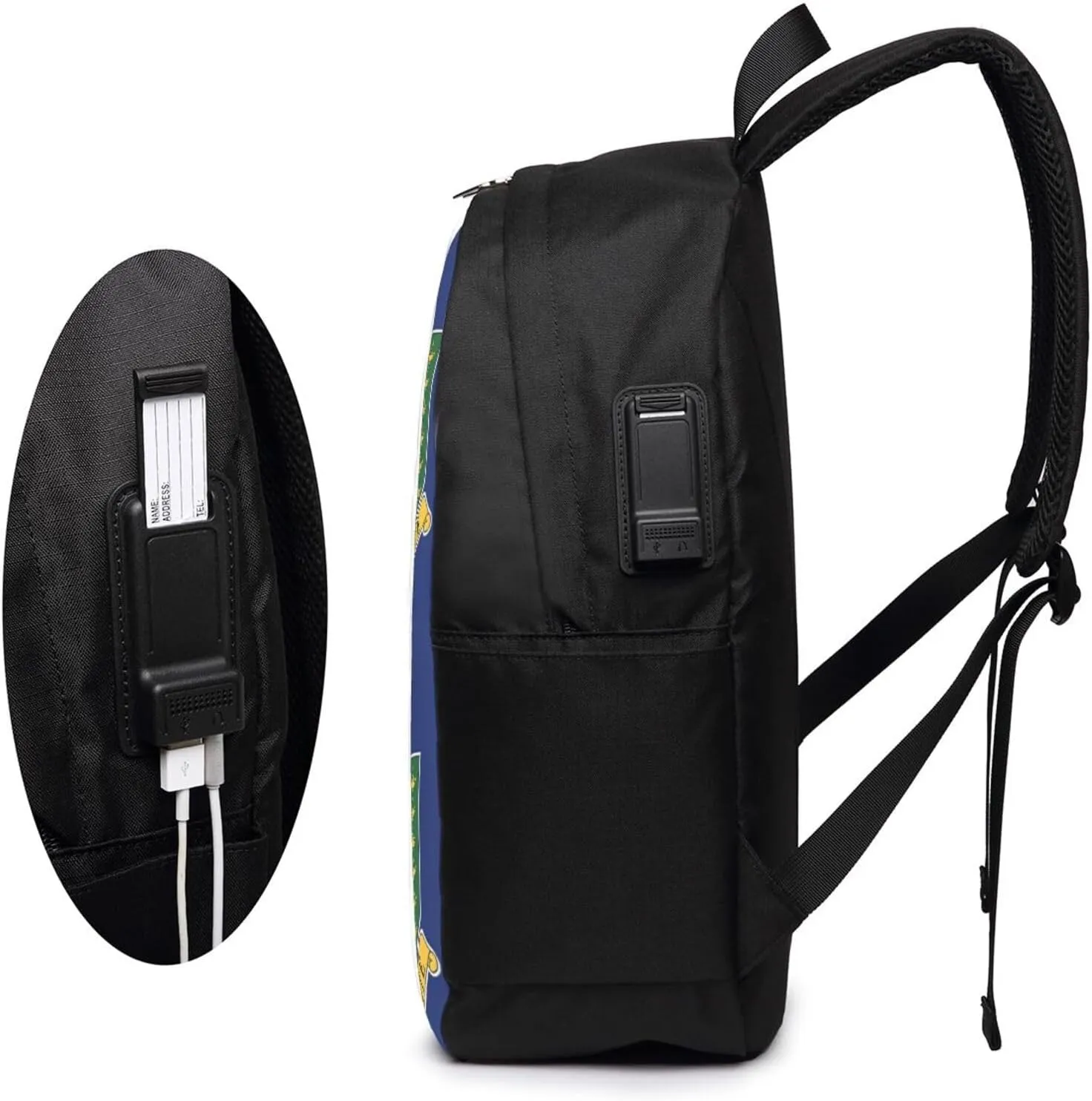 British Virgin Islands Flag Laptop Backpacks Travel Backpack Casual Business Daypack Sport Rucksack Computer Bag Fits up to 17 Inch Notebook with USB Port