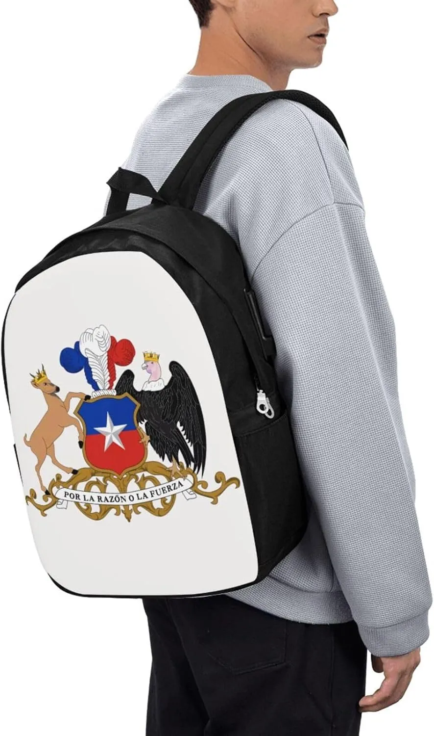 Chile Chilean Flag Coat Arms Laptop Backpacks Travel Backpack Casual Business Daypack Sport Rucksack Computer Bag Fits up to 17 Inch Notebook with USB Port