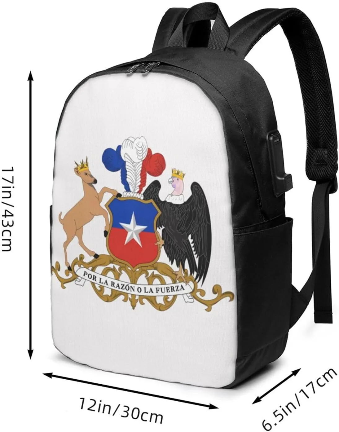 Chile Chilean Flag Coat Arms Laptop Backpacks Travel Backpack Casual Business Daypack Sport Rucksack Computer Bag Fits up to 17 Inch Notebook with USB Port