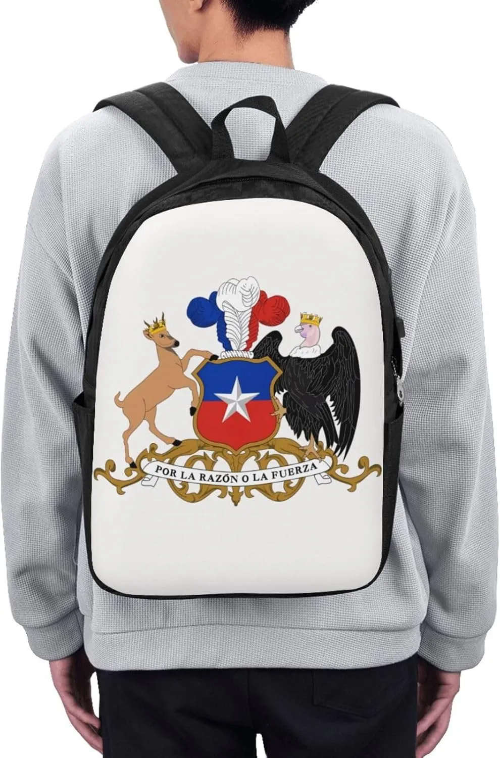Chile Chilean Flag Coat Arms Laptop Backpacks Travel Backpack Casual Business Daypack Sport Rucksack Computer Bag Fits up to 17 Inch Notebook with USB Port