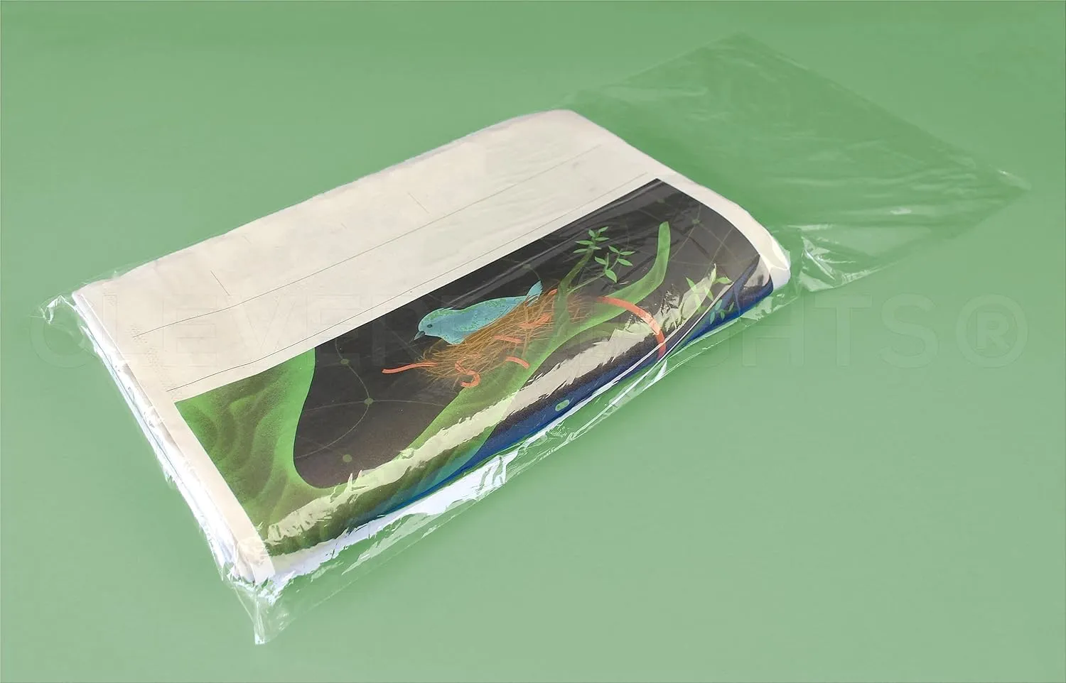 CleverDelights Newspaper Bags - 10" x 21" - 1000 Pack - 0.8 Mil - Clear Flat Plastic Bags