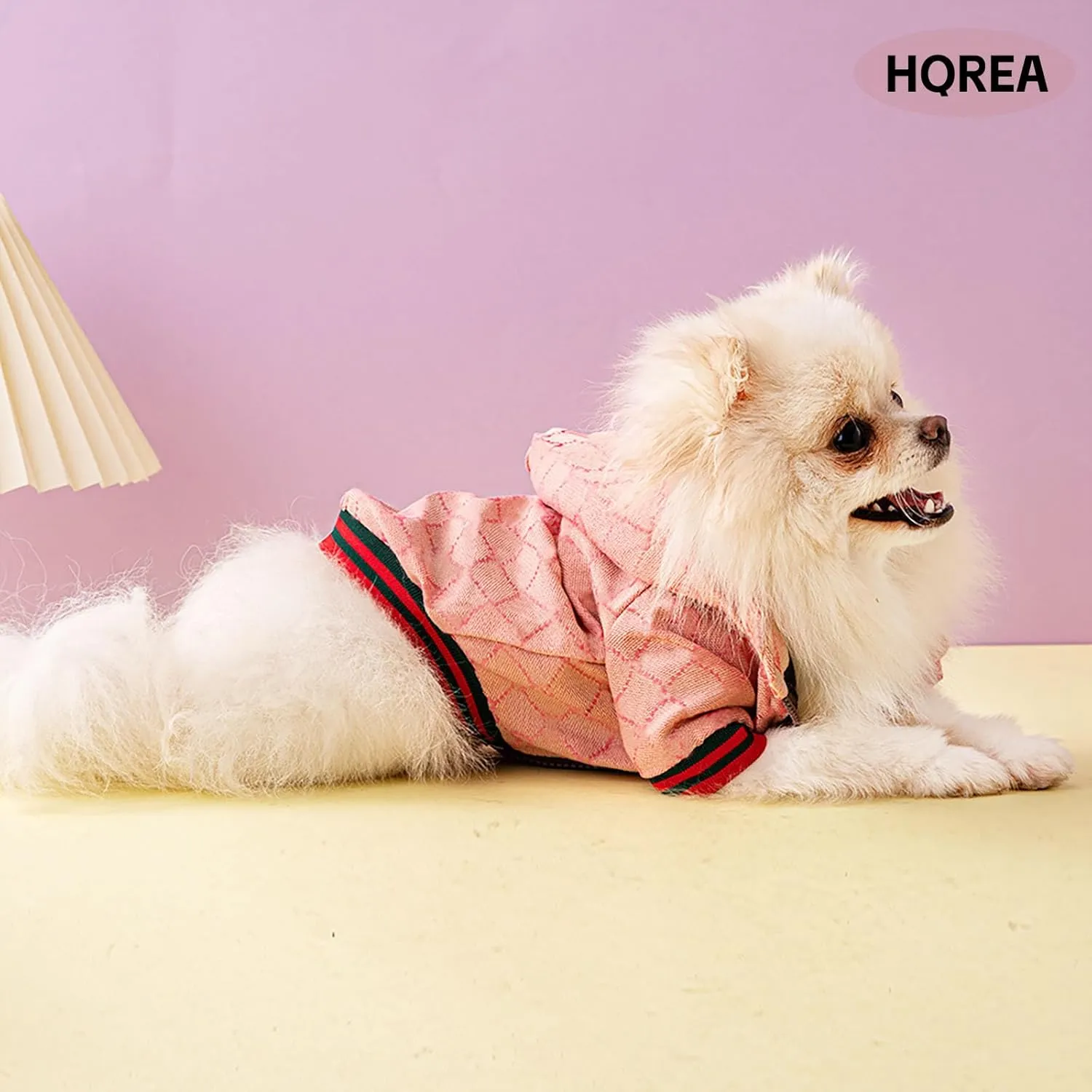 Dog Hoodie Luxury Dog Clothes Winter Puppy Jacket Classic Designer Pet Clothes Coat French Bulldog Teddy Pug