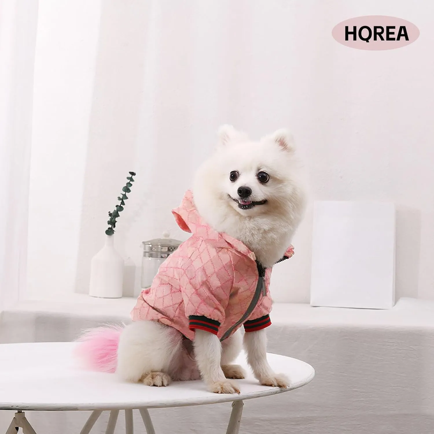 Dog Hoodie Luxury Dog Clothes Winter Puppy Jacket Classic Designer Pet Clothes Coat French Bulldog Teddy Pug