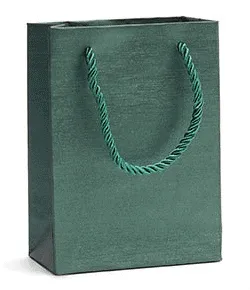 Economy Fancy Paper Shopping Bags (50 pcs Per Pack)
