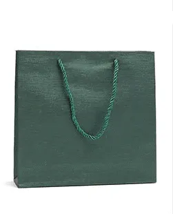 Economy Fancy Paper Shopping Bags (50 pcs Per Pack)