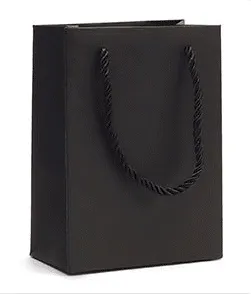 Economy Fancy Paper Shopping Bags (50 pcs Per Pack)