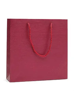 Economy Fancy Paper Shopping Bags (50 pcs Per Pack)