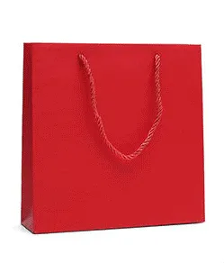 Economy Fancy Paper Shopping Bags (50 pcs Per Pack)