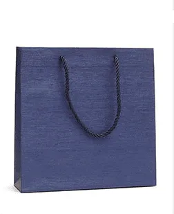 Economy Fancy Paper Shopping Bags (50 pcs Per Pack)