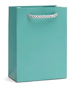 Economy Fancy Paper Shopping Bags (50 pcs Per Pack)