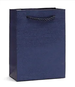 Economy Fancy Paper Shopping Bags (50 pcs Per Pack)