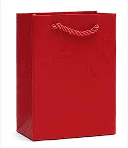 Economy Fancy Paper Shopping Bags (50 pcs Per Pack)