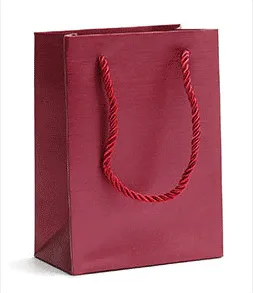 Economy Fancy Paper Shopping Bags (50 pcs Per Pack)