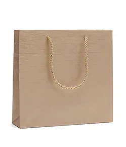 Economy Fancy Paper Shopping Bags (50 pcs Per Pack)