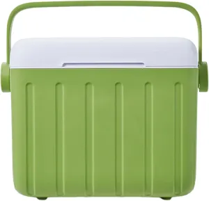 Insulated Cooler - Ice Box Carrier, Travel Camping Fridge | 6L Cooling Chest with Gel Pack for Car Road Trip Meal Storage Fishing Adventures Picnic Outdoor Breast Milk Gear Worksite Utility Use