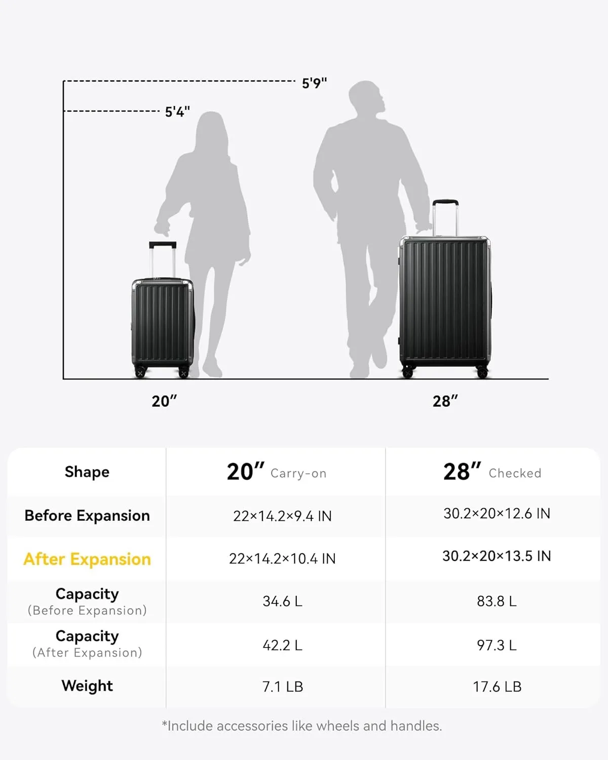 LUGGEX 28 Inch Luggage with Spinner Wheels, PC Expandable Hard Shell Suitcases Large Checked Luggage, Charcoal Metallic