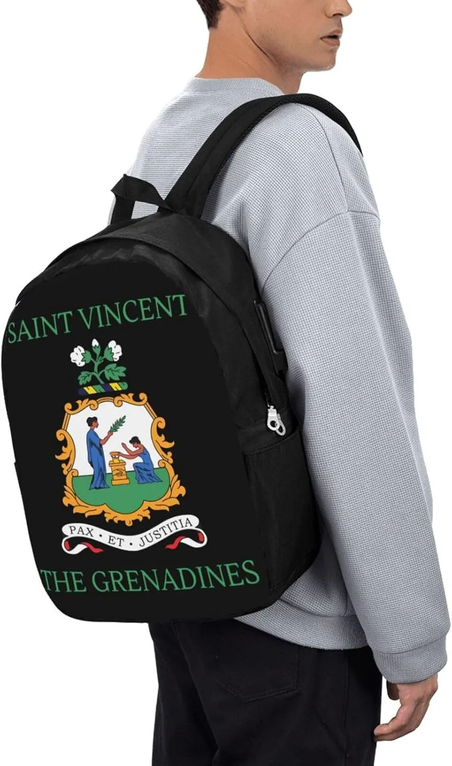 Saint Vincent Grenadines Flags Laptop Backpacks Travel Backpack Casual Business Daypack Sport Rucksack Computer Bag Fits up to 17 Inch Notebook with USB Port
