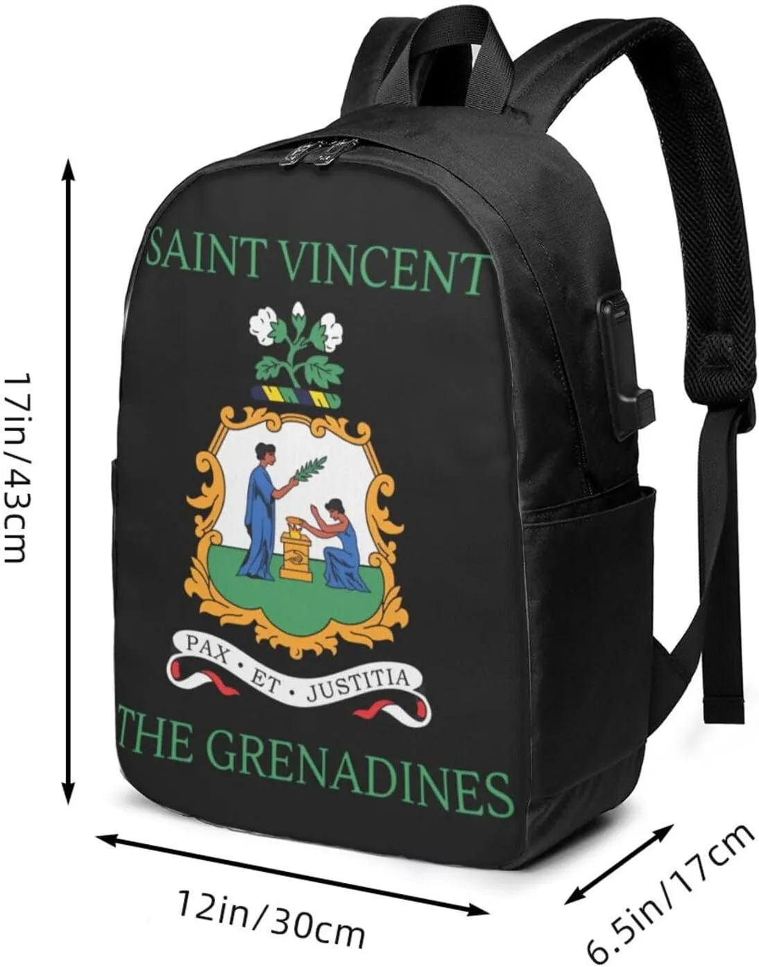 Saint Vincent Grenadines Flags Laptop Backpacks Travel Backpack Casual Business Daypack Sport Rucksack Computer Bag Fits up to 17 Inch Notebook with USB Port