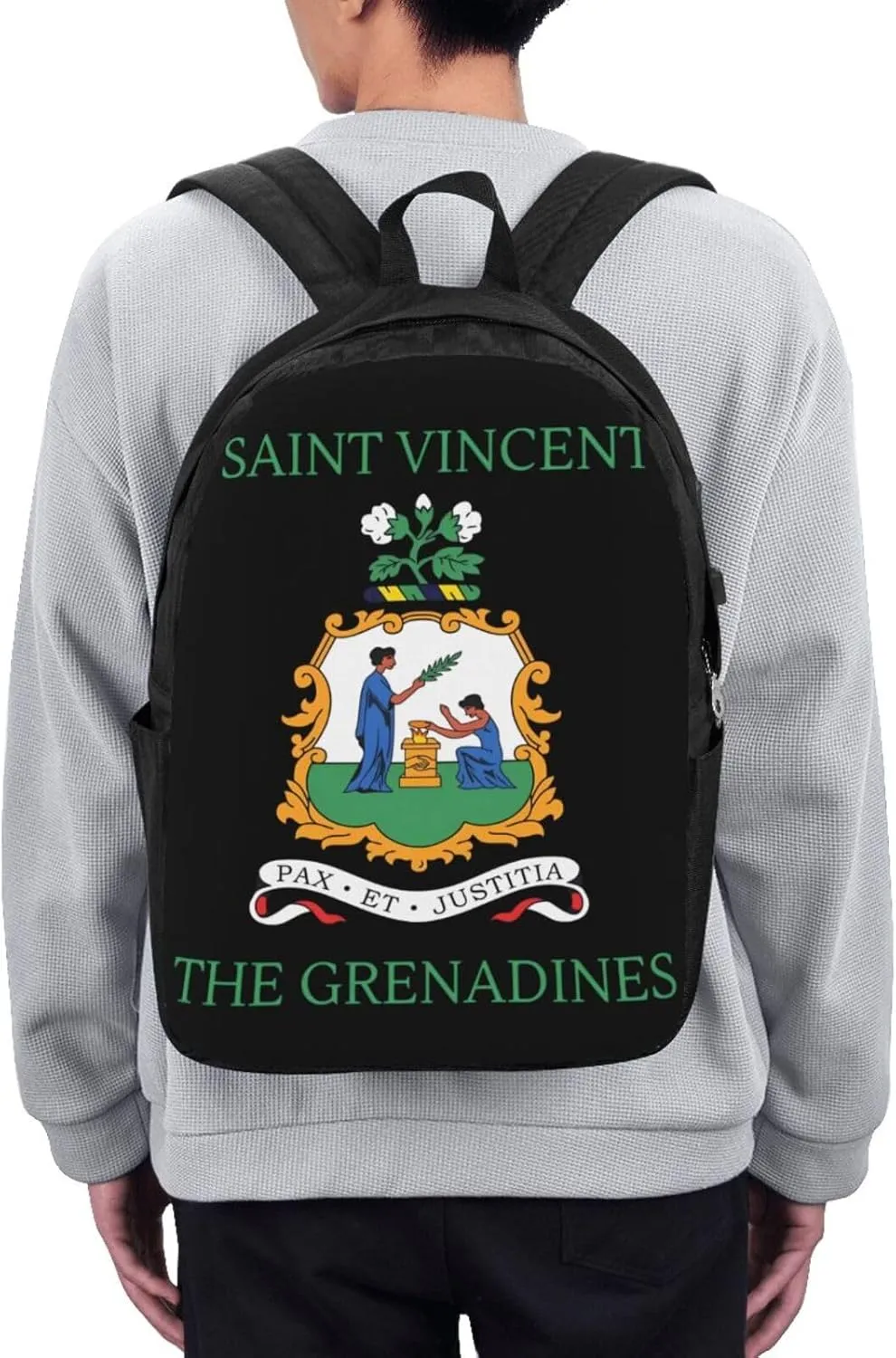 Saint Vincent Grenadines Flags Laptop Backpacks Travel Backpack Casual Business Daypack Sport Rucksack Computer Bag Fits up to 17 Inch Notebook with USB Port