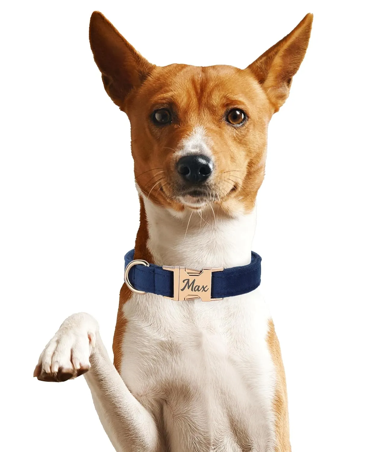 Velvet Harness Set, Gift for Pet Owners, Custom Dog Collar Personalized with Name and Phone Number, Custom Collar and Leash for Dogs, Engraved Metal Buckle Collar (X-Small)
